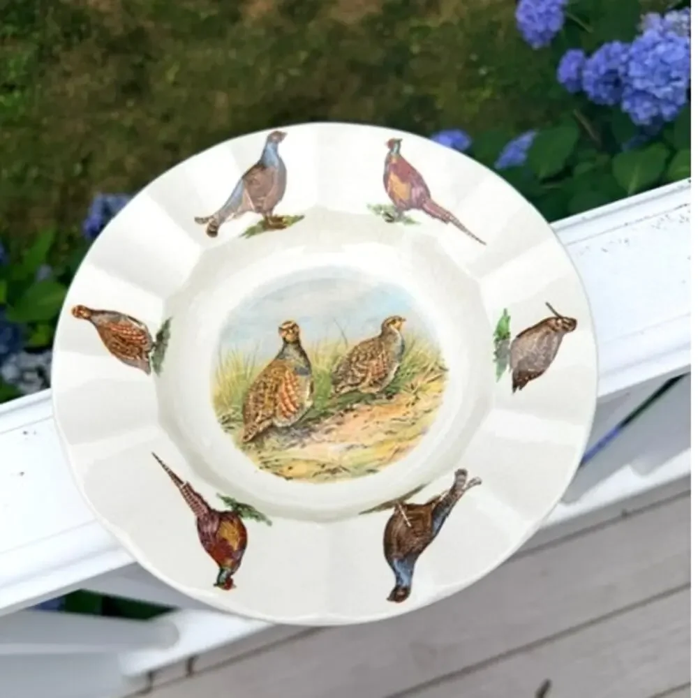 Royal Staffordshire ROS47 Game Bird Soup Pasta Bowl England